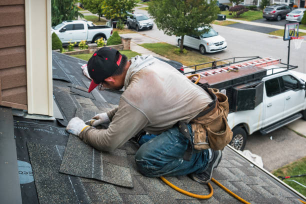 Professional Roof Leak Repair technician working in Davis, IL